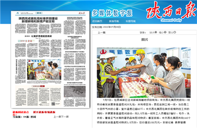 yd12399云顶集团西北集团珑樾府项目高温慰问——《陕西日报》